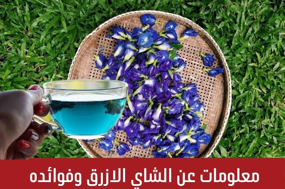 معلومات عن الشاي الازرق وفوائده